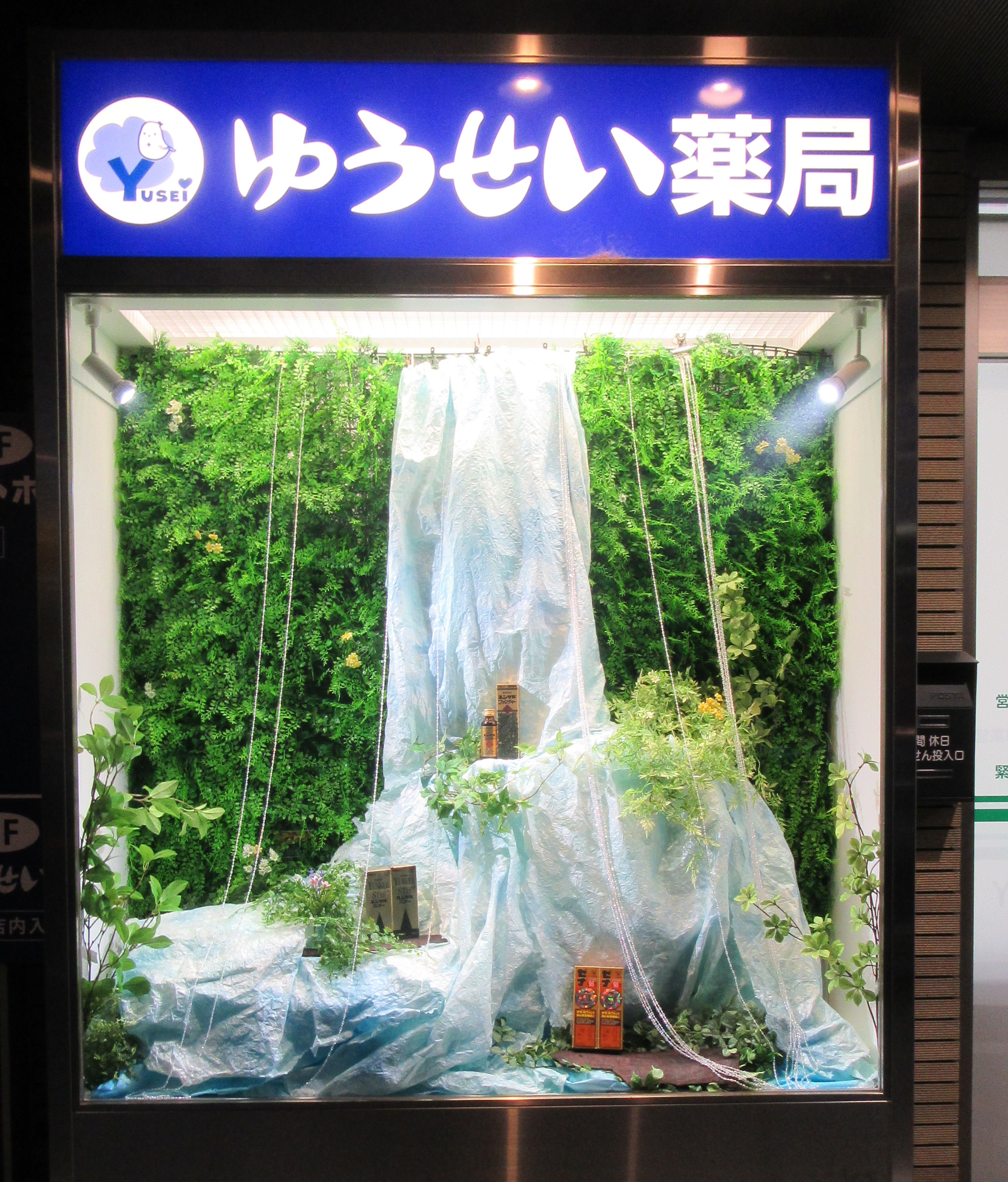 6月17日（月）ゆうせい薬局のショウウィンドが一新