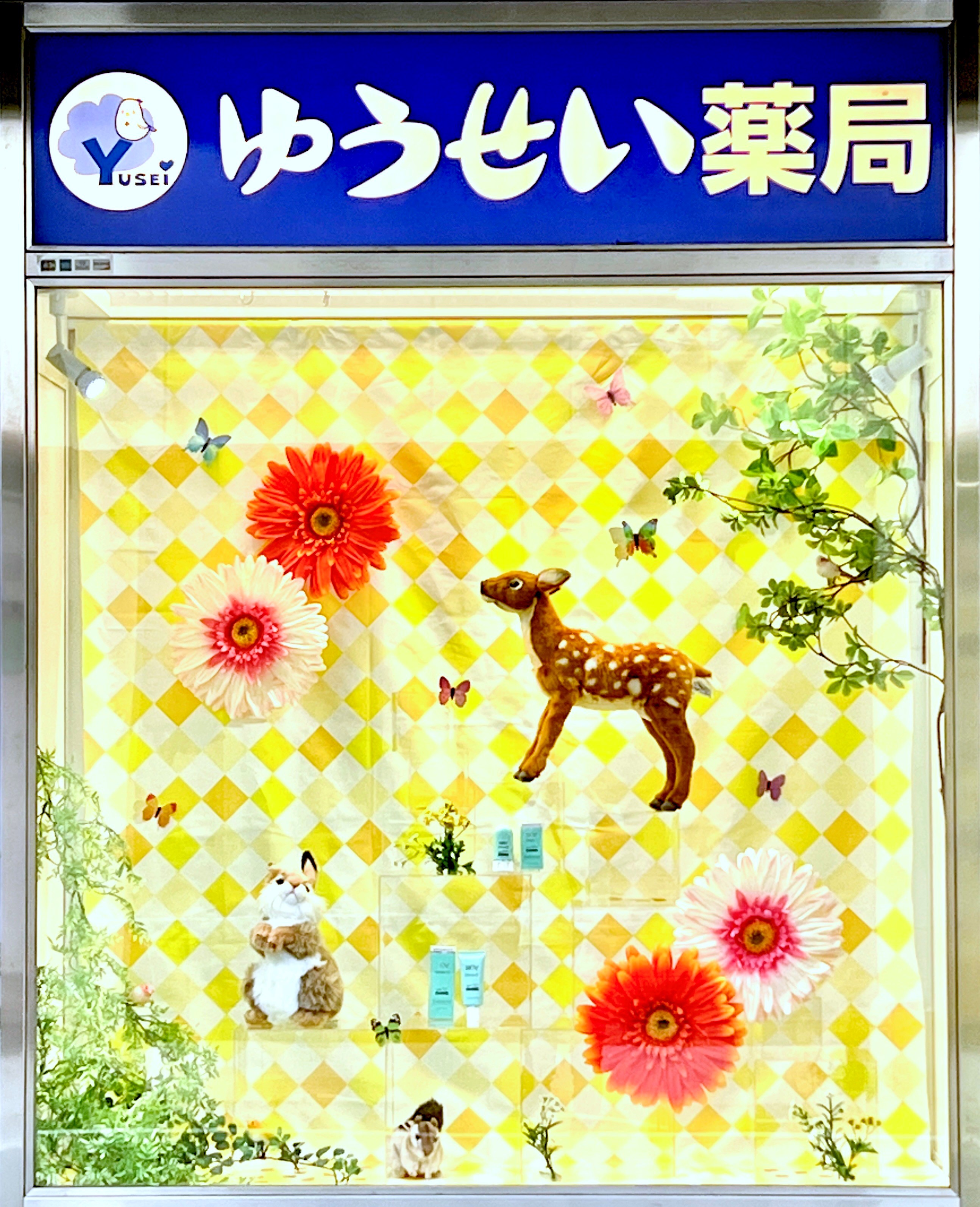 ショウウィンドウを一新いたしました！